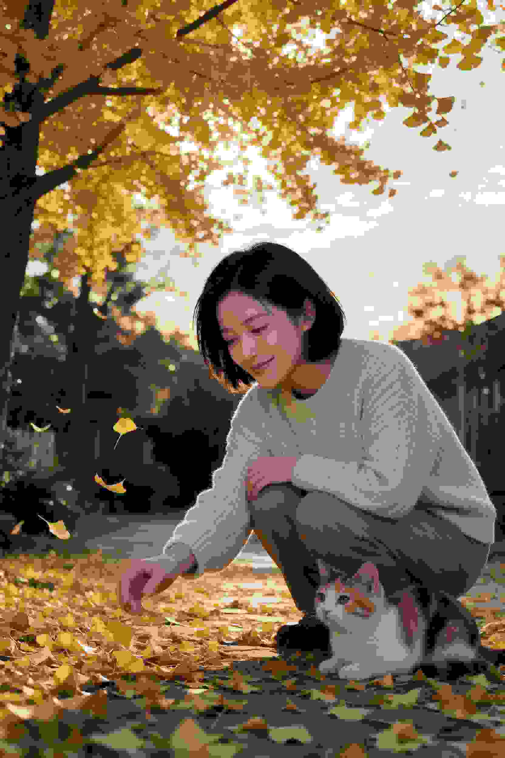 校园恋爱